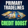 Primary Tradeline Tradeline Info